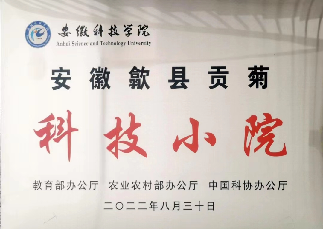 图片-2